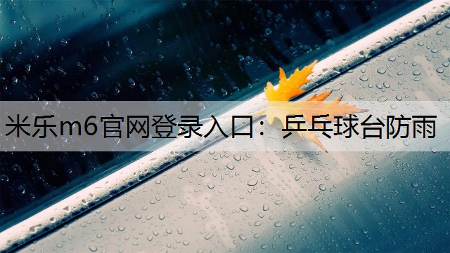 <strong>米乐m6官网登录入口：乒乓球台防雨</strong>