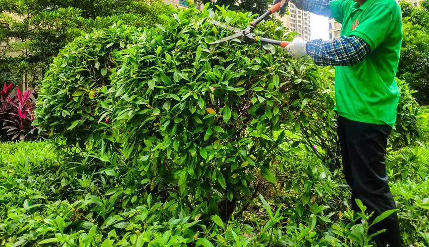 米乐：乒乓球台管理注意事项