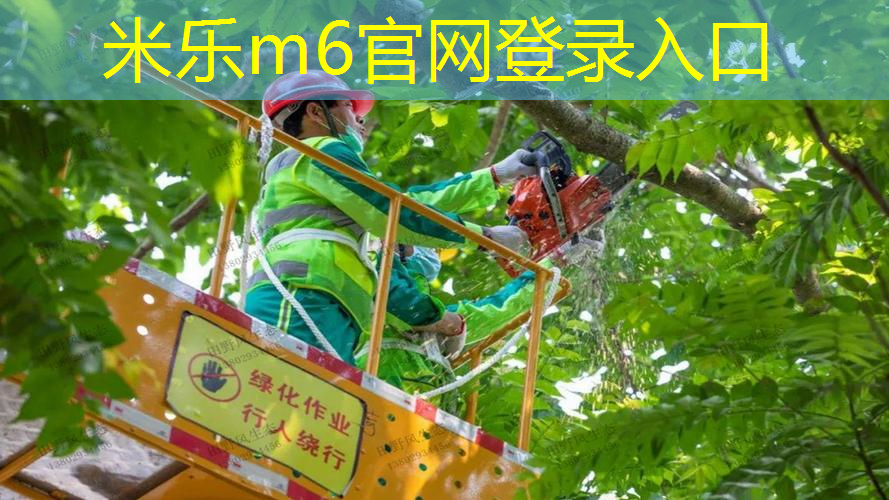 提升健身体验的高端室外体育用品健身器材，如今大热！